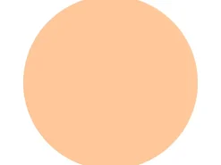 Alpina Innenfarben^Wandfarbe Pure Farben Papayaorange 2,5 l