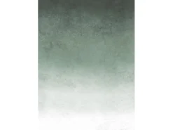 Art for the Home Fototapeten^Fototapete Fading groen 280 x 200 cm