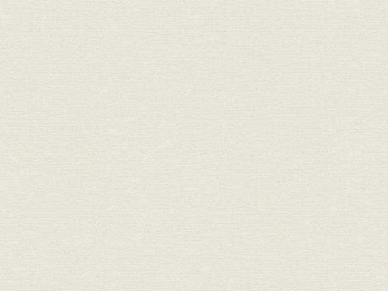 AS-Creation A.S. Création Vliestapete Sumatra Uni Creme FSC®