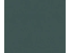 AS-Creation Dekorative Tapeten^A.S. Création Vliestapete Uni Dunkelgrün