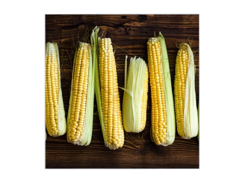 Banjado Schweberegale^Großer Schlüsselkasten Glas 30x30cm Schwarz Scharnier Rechts 50 Haken Beschreibbar Magnetisch Motiv Maiskolben