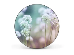 Banjado Pinnwände^Magnettafel Rund Größe 47cm Magnetwand Schwarz Aus Metall Magnetpinnwand Pinnwand Motiv Lauchblüte