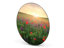 Banjado Magnettafel Rund Größe 47cm Magnetwand Schwarz Aus Metall Magnetpinnwand Pinnwand Motiv Sommerfeld