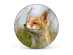 Banjado Pinnwände^Magnettafel Rund Größe 47cm Magnetwand Schwarz Aus Metall Magnetpinnwand Pinnwand Motiv Fuchs