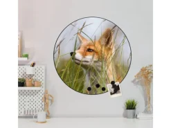 Banjado Pinnwände^Magnettafel Rund Größe 47cm Magnetwand Schwarz Aus Metall Magnetpinnwand Pinnwand Motiv Fuchs