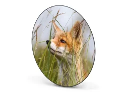 Banjado Pinnwände^Magnettafel Rund Größe 47cm Magnetwand Schwarz Aus Metall Magnetpinnwand Pinnwand Motiv Fuchs