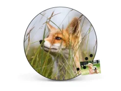 Banjado Pinnwände^Magnettafel Rund Größe 47cm Magnetwand Schwarz Aus Metall Magnetpinnwand Pinnwand Motiv Fuchs
