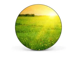 Banjado Pinnwände^Magnettafel Rund Größe 47cm Magnetwand Schwarz Aus Metall Magnetpinnwand Pinnwand Motiv Guten Morgen 2