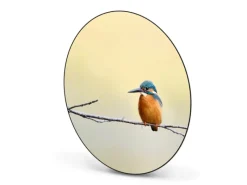 Banjado Pinnwände^Magnettafel Rund Größe 47cm Magnetwand Schwarz Aus Metall Magnetpinnwand Pinnwand Motiv Pause