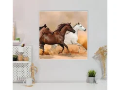 Banjado Pinnwände^Magnettafel 50x50cm Magnetwand Weiß Aus Metall Magnetpinnwand Pinnwand Inkl. 4 Magnete Motiv Wilde Pferde