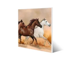 Banjado Pinnwände^Magnettafel 50x50cm Magnetwand Weiß Aus Metall Magnetpinnwand Pinnwand Inkl. 4 Magnete Motiv Wilde Pferde