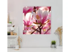 Banjado Pinnwände^Magnettafel 50x50cm Magnetwand Weiß Aus Metall Magnetpinnwand Pinnwand Inkl. 4 Magnete Motiv Magnolia