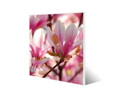 Banjado Pinnwände^Magnettafel 50x50cm Magnetwand Weiß Aus Metall Magnetpinnwand Pinnwand Inkl. 4 Magnete Motiv Magnolia