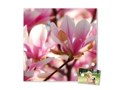 Banjado Pinnwände^Magnettafel 50x50cm Magnetwand Weiß Aus Metall Magnetpinnwand Pinnwand Inkl. 4 Magnete Motiv Magnolia