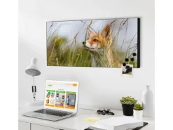 Banjado Pinnwände^Magnettafel 78x37cm Magnetwand Schwarz Aus Metall Magnetpinnwand Pinnwand Inkl. 4 Magnete Motiv Fuchs