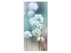 Banjado Pinnwände^Magnettafel 37x78cm Magnetwand Silber Aus Metall Magnetpinnwand Pinnwand Inkl. 4 Magnete Motiv Lauchblüte