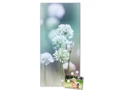 Banjado Pinnwände^Magnettafel 37x78cm Magnetwand Silber Aus Metall Magnetpinnwand Pinnwand Inkl. 4 Magnete Motiv Lauchblüte