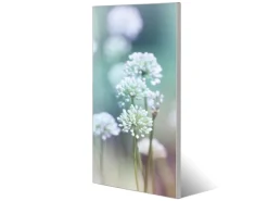 Banjado Pinnwände^Magnettafel 37x78cm Magnetwand Silber Aus Metall Magnetpinnwand Pinnwand Inkl. 4 Magnete Motiv Lauchblüte