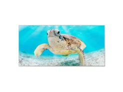 Banjado Pinnwände^Magnettafel 78x37cm Magnetwand Silber Aus Metall Magnetpinnwand Pinnwand Inkl. 4 Magnete Motiv Elvis