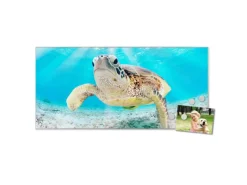 Banjado Pinnwände^Magnettafel 78x37cm Magnetwand Silber Aus Metall Magnetpinnwand Pinnwand Inkl. 4 Magnete Motiv Elvis