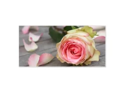 Banjado Pinnwände^Magnettafel 78x37cm Magnetwand Weiß Aus Metall Magnetpinnwand Pinnwand Inkl. 4 Magnete Motiv Rosa Rose