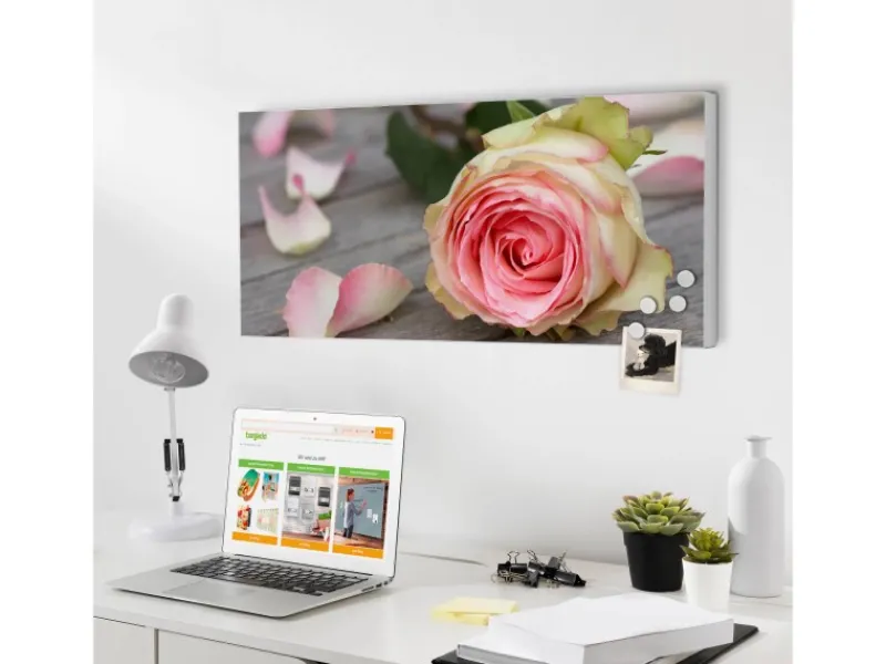 Banjado Pinnwände^Magnettafel 78x37cm Magnetwand Weiß Aus Metall Magnetpinnwand Pinnwand Inkl. 4 Magnete Motiv Rosa Rose