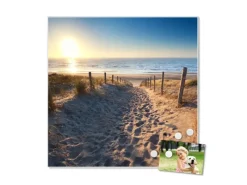 Banjado Magnettafel 50x50cm Magnetwand Weiß Aus Metall Magnetpinnwand Pinnwand Inkl. 4 Magnete Motiv Nordseestrand