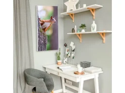 Banjado Pinnwände^Magnettafel 37x78cm Magnetwand Weiß Aus Metall Magnetpinnwand Pinnwand Inkl. 4 Magnete Motiv Eichhörnchen