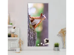 Banjado Pinnwände^Magnettafel 37x78cm Magnetwand Weiß Aus Metall Magnetpinnwand Pinnwand Inkl. 4 Magnete Motiv Eichhörnchen