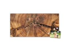 Banjado Magnettafel 78x37cm Magnetwand Silber Aus Metall Magnetpinnwand Pinnwand Inkl. 4 Magnete Motiv Jahresringe