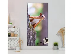 Banjado Pinnwände^Magnettafel 37x78cm Magnetwand Schwarz Aus Metall Magnetpinnwand Pinnwand Inkl. 4 Magnete Motiv Eichhörnchen