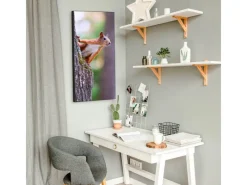 Banjado Pinnwände^Magnettafel 37x78cm Magnetwand Schwarz Aus Metall Magnetpinnwand Pinnwand Inkl. 4 Magnete Motiv Eichhörnchen