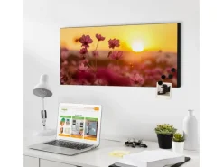 Banjado Pinnwände^Magnettafel 78x37cm Magnetwand Schwarz Aus Metall Magnetpinnwand Pinnwand Inkl. 4 Magnete Motiv Cosmea Feld