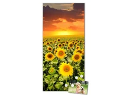 Banjado Magnettafel 37x78cm Magnetwand Silber Aus Metall Magnetpinnwand Pinnwand Inkl. 4 Magnete Motiv Sonnenblumenmeer