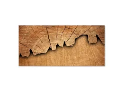 Banjado Pinnwände^Magnettafel 78x37cm Magnetwand Weiß Aus Metall Magnetpinnwand Pinnwand Inkl. 4 Magnete Motiv Baumscheibe