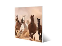 Banjado Pinnwände^Magnettafel 50x50cm Magnetwand Weiß Aus Metall Magnetpinnwand Pinnwand Inkl. 4 Magnete Motiv Mongolische Stimmung