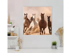 Banjado Pinnwände^Magnettafel 50x50cm Magnetwand Weiß Aus Metall Magnetpinnwand Pinnwand Inkl. 4 Magnete Motiv Mongolische Stimmung