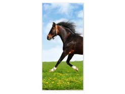 Banjado Magnettafel 37x78cm Magnetwand Weiß Aus Metall Magnetpinnwand Pinnwand Inkl. 4 Magnete Motiv Pferd