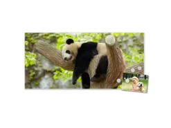 Banjado Pinnwände^Magnettafel 78x37cm Magnetwand Weiß Aus Metall Magnetpinnwand Pinnwand Inkl. 4 Magnete Motiv Panda