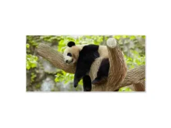 Banjado Pinnwände^Magnettafel 78x37cm Magnetwand Weiß Aus Metall Magnetpinnwand Pinnwand Inkl. 4 Magnete Motiv Panda