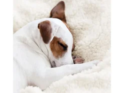 Beautissu Alina Decke 220x240cm Hellgrau/Weiß