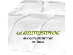 Bestlivings Kassettenbett - Daunen&Federdecke - 135 x 200 cm Inklusive Kissen