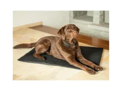 Bestlivings Thermotierdecke Wärmeisolierend Schwarz 70 x 100 cm