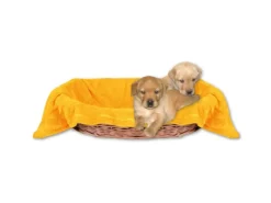 Bestlivings Überwürfe^Tierdecke Hundedecke Mikrofaser 60 x 80 cm Hellorange