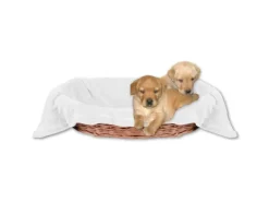 Bestlivings Überwürfe^Tierdecke Hundedecke Mikrofaser 70 x 100 cm Weiß