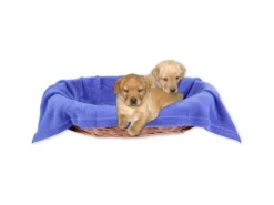 Bestlivings Tierdecke Hundedecke Mikrofaser 60 x 80 cm Blau