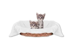 Bestlivings Überwürfe^Tierdecke Katzendecke Mikrofaser 60 x 80 cm Weiß