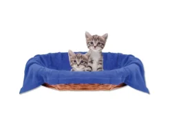 Bestlivings Tierdecke Katzendecke Mikrofaser 70 x 100 cm Blau
