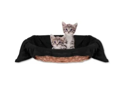 Bestlivings Katzenbedarf^Tierdecke Katzendecke Mikrofaser 80 x 120 cm Schwarz