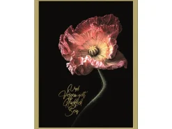 Pro Art Bilder^Bild mit Rahmen Anonymus Beautiful & Gold IV 42,5 cm x 32,5 cm